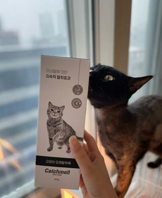 햇태야요님이 올린 리뷰 사진 1