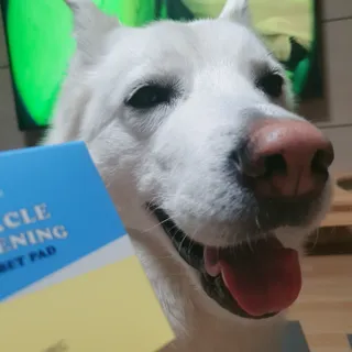 딸랑구둘🥰님이 올린 리뷰 사진 1