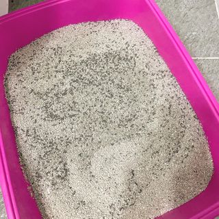 겟플렉스 켓플렉스 캣츠룸BS-1 고양이모래 4kg — 5점을 준 리뷰어가 2021년 3월 올린 사용 사진
