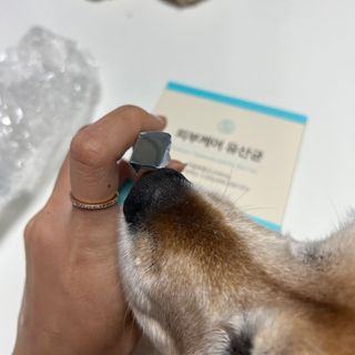 초오기님이 올린 리뷰 사진 3