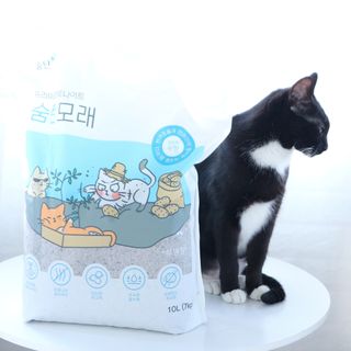 모리님이 올린 리뷰 사진 2