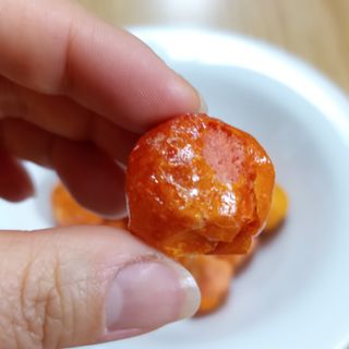 레드닥터 완숙토마토 + 통째로 동결건조한 대추방울토마토 — 5점을 준 리뷰어가 2022년 11월 올린 사용 사진