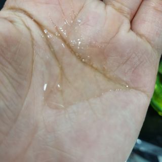 스킨큐어 산다화 순한 클렌징 동백 오일 200ml — 4점을 준 리뷰어가 2023년 8월 올린 사용 사진