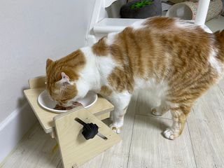 alonggoon님이 올린 리뷰 사진 3