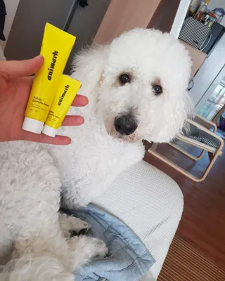 Latin님이 올린 리뷰 사진 4