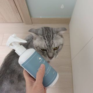 에디터보나님이 올린 리뷰 사진 3