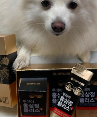 서울약사신협_투데이홍삼정플러스스틱_10g x 30포 — 5점을 준 리뷰어가 2021년 5월 올린 사용 사진