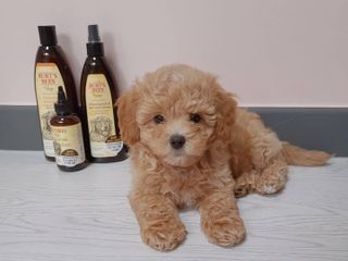 처리미님이 올린 리뷰 사진 3
