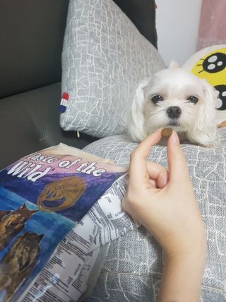 김고양이님이 올린 리뷰 사진 3
