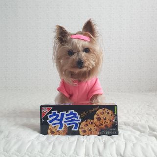 솜희님이 올린 리뷰 사진 3