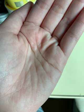 빵이님이 올린 리뷰 사진 3