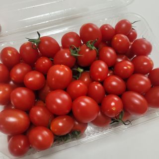 쌈자를몰라님이 올린 리뷰 사진 2