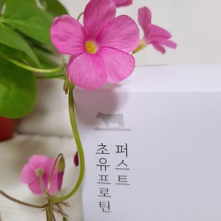 마수리님이 올린 리뷰 사진 3