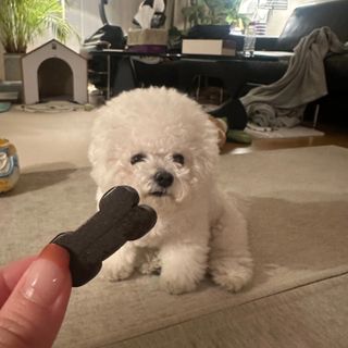 미뇽님이 올린 리뷰 사진 2