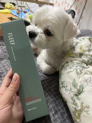 안녕난두부야님이 올린 리뷰 사진 1