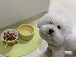 용용맹님이 올린 리뷰 사진 2