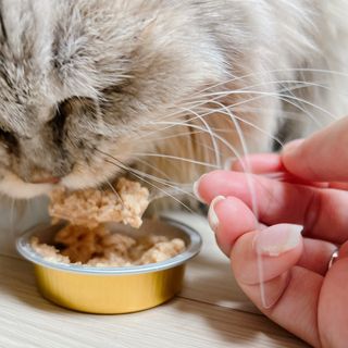 블랑님이 올린 리뷰 사진 4