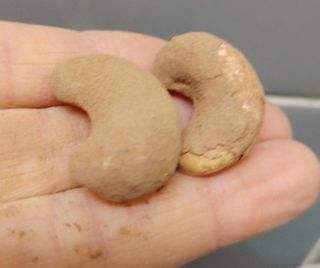 사랑스런초딩님이 올린 리뷰 사진 4