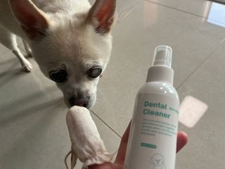 [댕모어 클리너 3종] 아이클리너 / 이어클리너 / 덴탈클리너 3종 세트 (120ml) — 5점을 준 리뷰어가 2023년 9월 올린 사용 사진