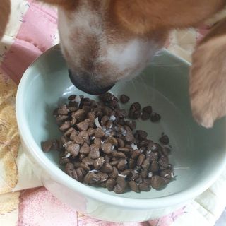 beaglelove님이 올린 리뷰 사진 4