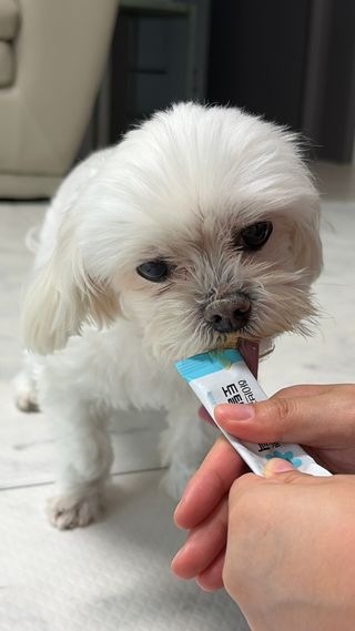 다엘님이 올린 리뷰 사진 1