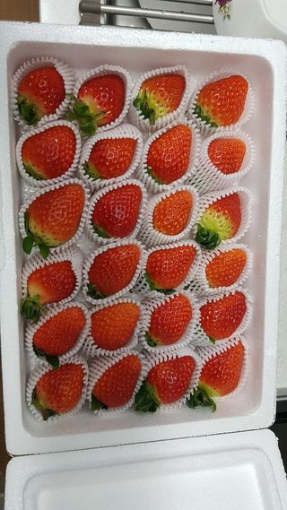 옳음 딸기 논산 설향 딸기 900g 산지직송 — 5점을 준 리뷰어가 2021년 1월 올린 사용 사진