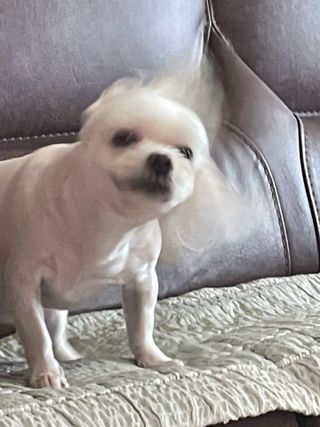 에린님이 올린 리뷰 사진 3