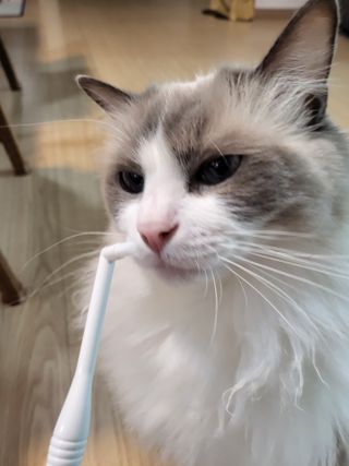 로크찡님이 올린 리뷰 사진 1