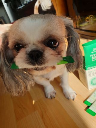 김수연님이 올린 리뷰 사진 3