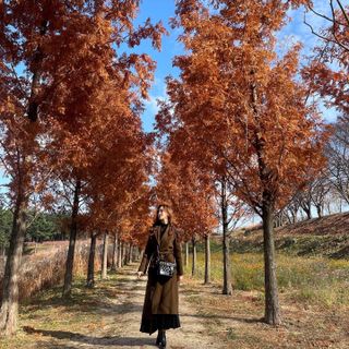 승연님이 올린 리뷰 사진 1