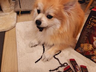 좋아님이 올린 리뷰 사진 2