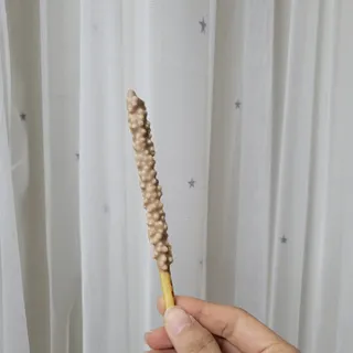 희비스커스님이 올린 리뷰 사진 3