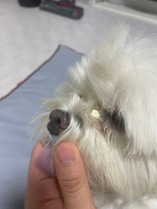 권쁜님이 올린 리뷰 사진 4