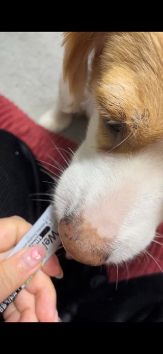 ㅇㅅㅇ님이 올린 리뷰 사진 1