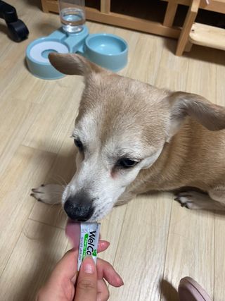 박윤솔님이 올린 리뷰 사진 3