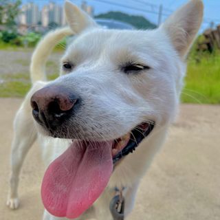 Jenny님이 올린 리뷰 사진 3