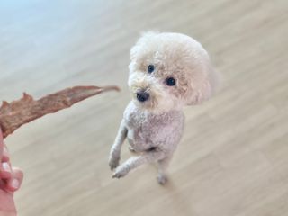 테티스님이 올린 리뷰 사진 1