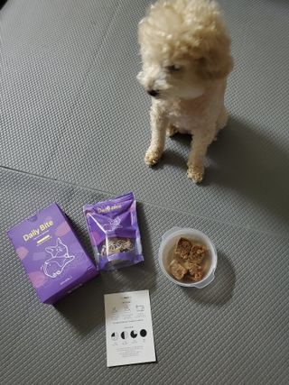 펫에이블 데일리바이트 키토 [비프], [치킨] — 4.5점을 준 리뷰어가 2021년 9월 올린 사용 사진