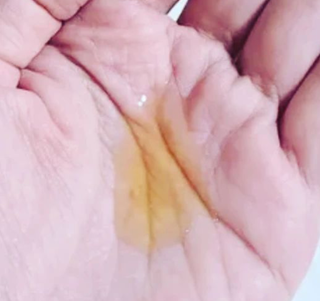 HaeryRim님이 올린 리뷰 사진 4