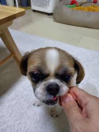 구산댁님이 올린 리뷰 사진 3
