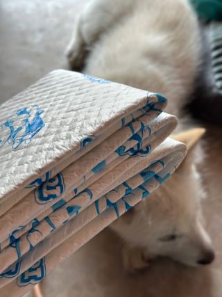 냥도동인간님이 올린 리뷰 사진 1