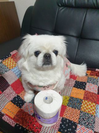 페키아름님이 올린 리뷰 사진 4