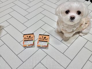 두부님이 올린 리뷰 사진 2
