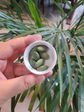 뉴트립맥스(NUTRIPMAX) 뉴트립맥스 슬림 카테킨 700mg 30정 1개월분 — 5점을 준 리뷰어가 2021년 7월 올린 사용 사진