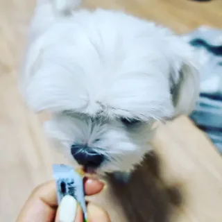 뿌꾸님이 올린 리뷰 사진 3