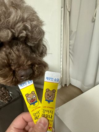 [레모나] 강아지 레모나 강아직 영양 간식 4종 택 1 — 4점을 준 리뷰어가 2024년 1월 올린 사용 사진