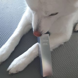 딸랑구둘🥰님이 올린 리뷰 사진 1