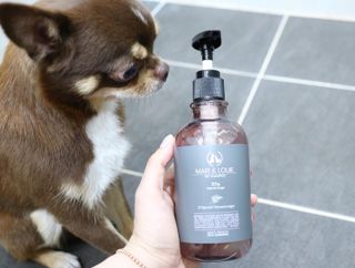 마리앤루이펫샴푸 [mari and louie pet shampoo] — 5점을 준 리뷰어가 2021년 6월 올린 사용 사진
