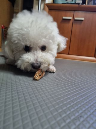 빙빙이님이 올린 리뷰 사진 2