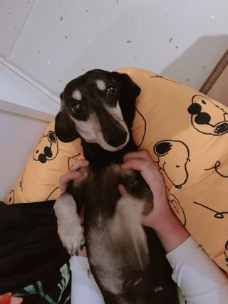 운운님이 올린 리뷰 사진 1
